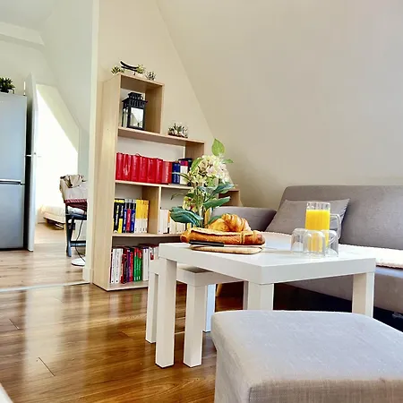 Appartement Charme Parisien - Sous Les Toits De A Opera *