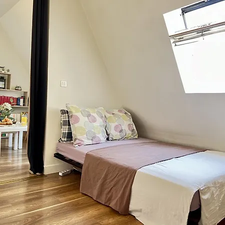 Apartamento Charme Parisien - Sous Les Toits De A Opera Paris